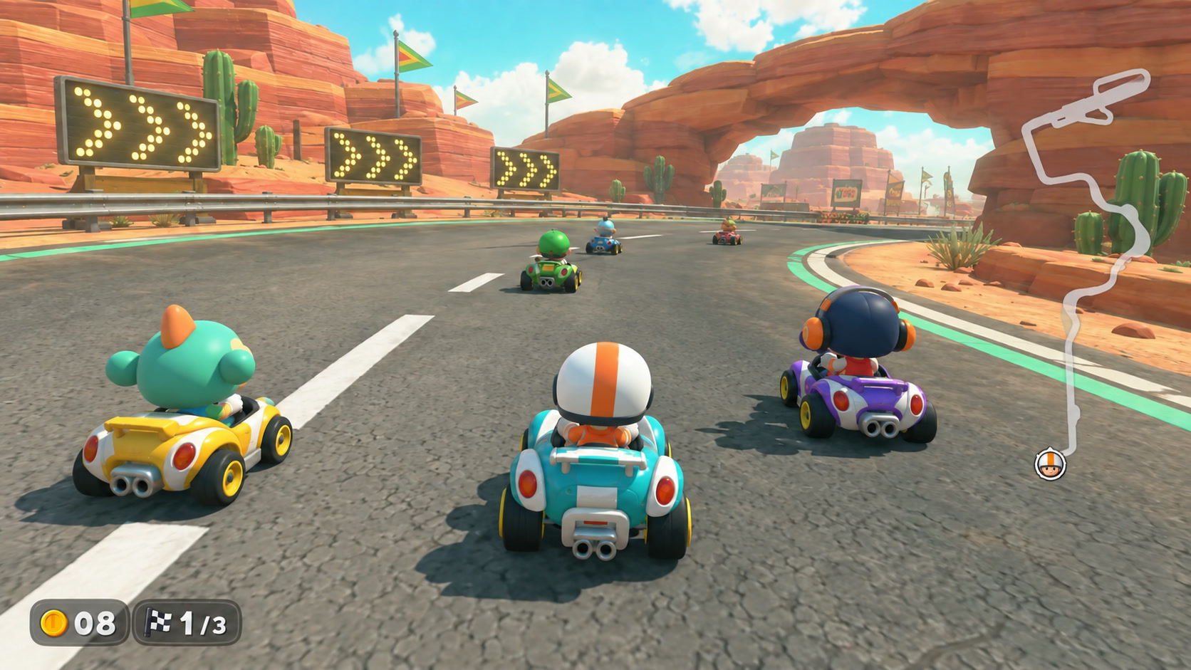 The visual reference for the kart game
